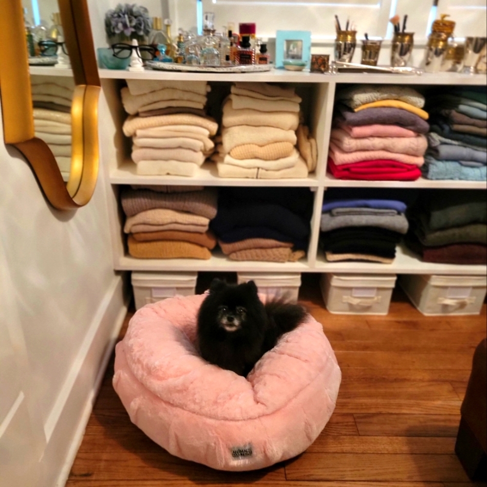 Meet your Posher, Gigi - Picture 6 of 16